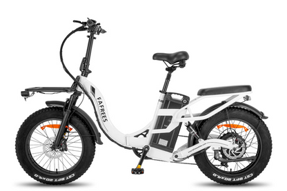Fafrees F20 X-Max E-Bike