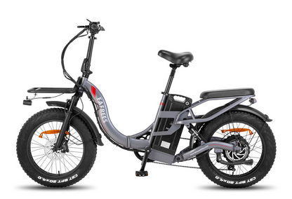 Fafrees F20 X-Max E-Bike