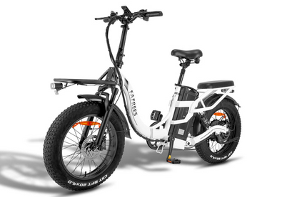 Fafrees F20 X-Max E-Bike