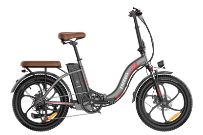 Fafrees F20 Pro Foldable E-Bike