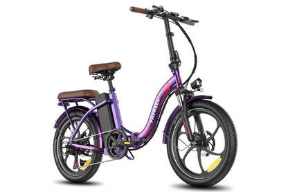 Fafrees F20+ Pro Foldable E-Bike