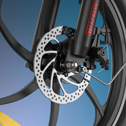 Fafrees F20+ Pro Foldable E-Bike