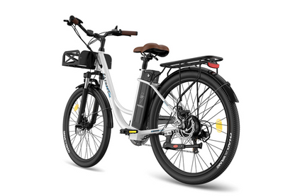 Fafrees F26 Lasting E-bike
