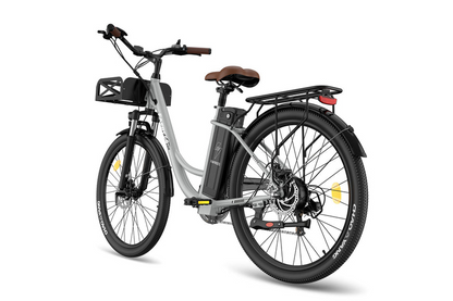 Fafrees F26 Lasting E-bike