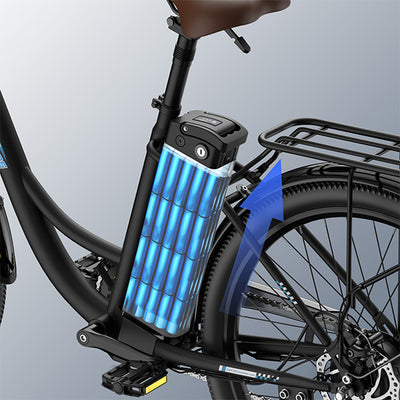 Fafrees F26 Lasting E-bike