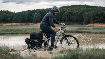 Fiido Nomads Touring E-bike