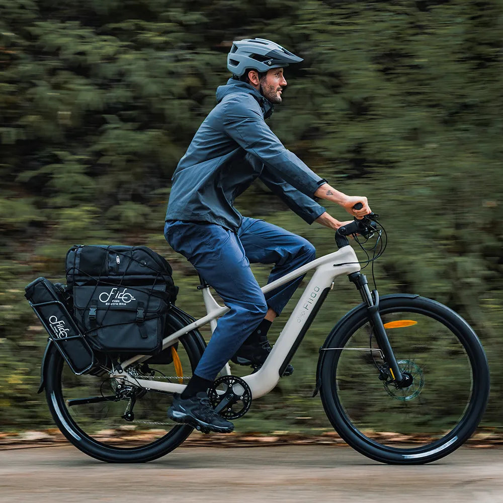 Fiido Nomads Touring E-bike