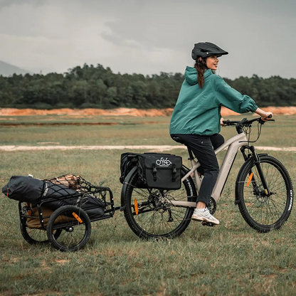 Fiido Nomads Touring E-bike