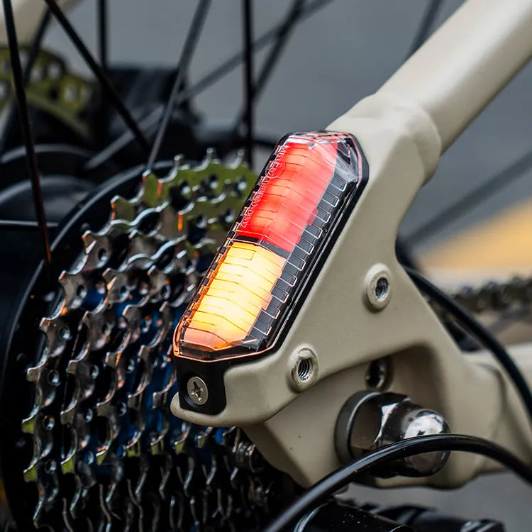 Fiido Nomads Touring E-bike