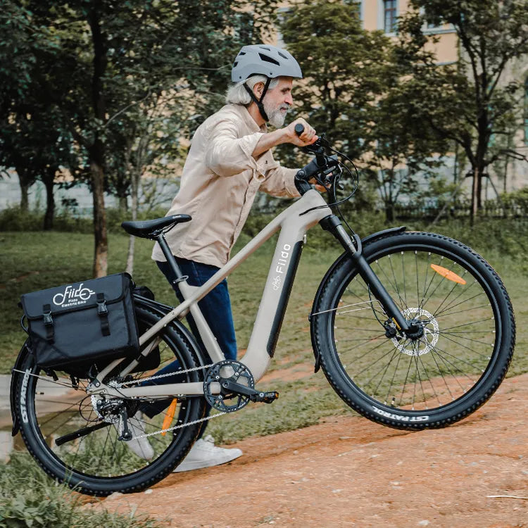 Fiido Nomads Touring E-bike