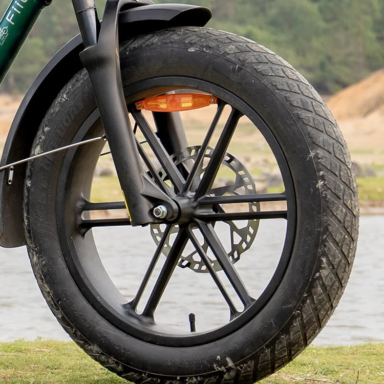 Fiido T2 Longtail Cargo E-bike image 6