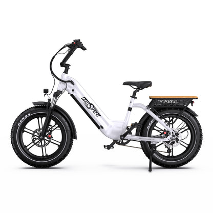 Onesport OT08 Fat Tire E-Bike