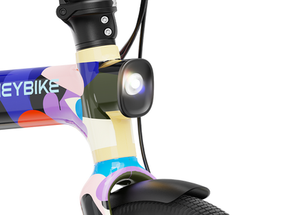 Helio F - Artists Limited Edition