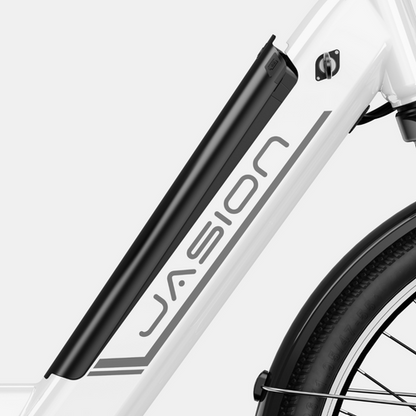 Jasion EB5 Roamer ST Ebike