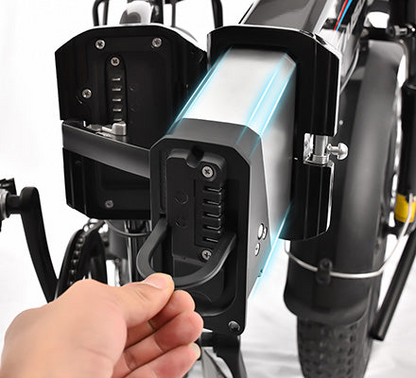 KAISDA K2P PRO Folding E-bike