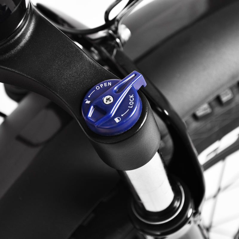 KAISDA K2P PRO Folding E-bike