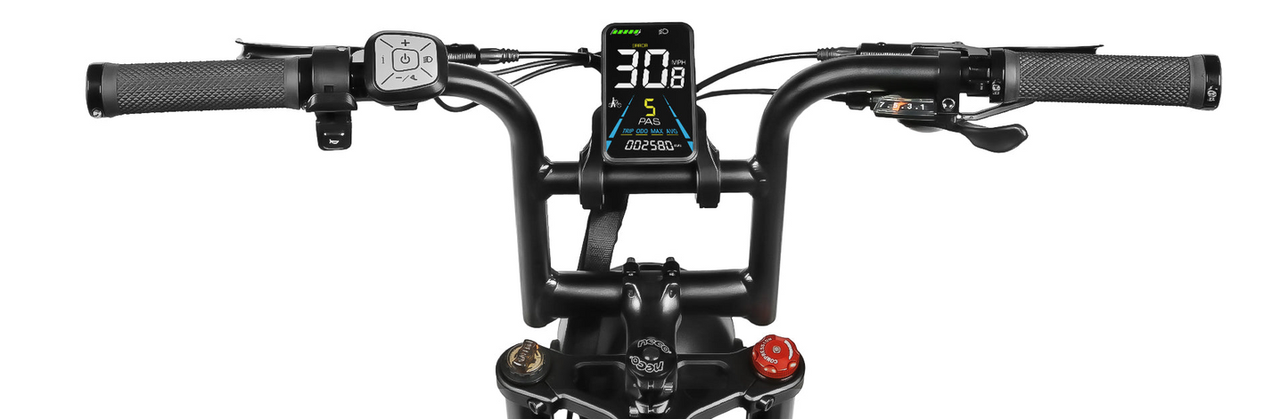 Samebike M20 1000W Retro Electric Bike