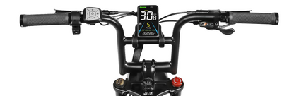 Samebike M20 1000W Retro Electric Bike