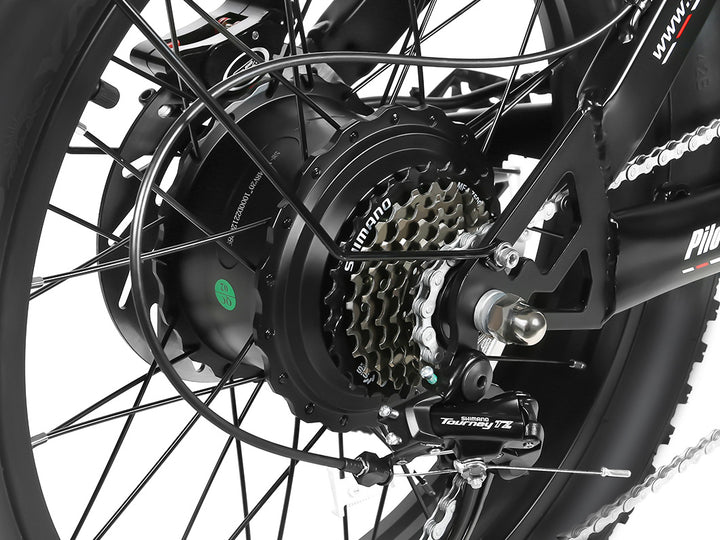 Samebike M20 1000W Retro Electric Bike