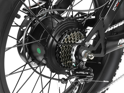 Samebike M20 1000W Retro Electric Bike