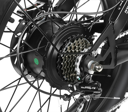 Samebike M20 1000W Retro Electric Bike