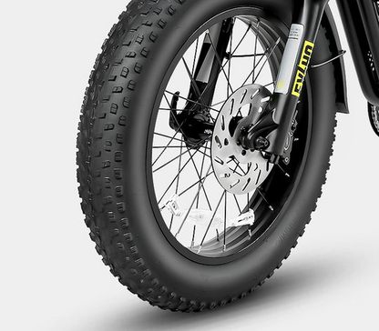 Samebike M20 1000W Retro Electric Bike