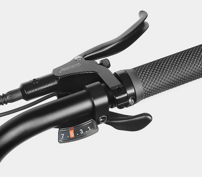 Samebike M20 1000W Retro Electric Bike