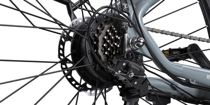 Onesport OT05 Pro City E-Bike