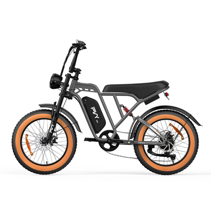 PVY A20 Fat Tire E-Bike