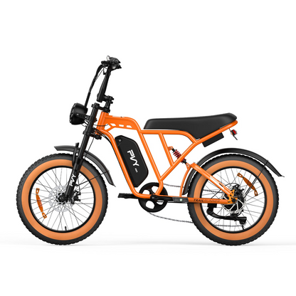 PVY A20 Fat Tire E-Bike