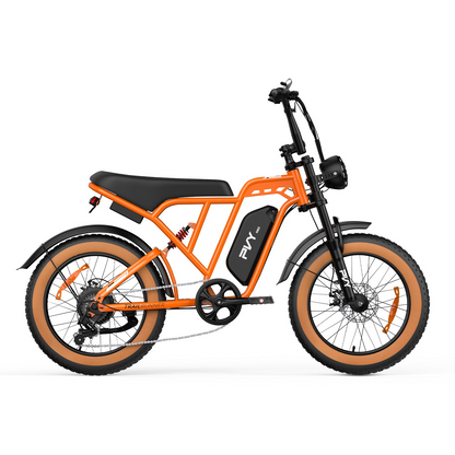 PVY A20 Fat Tire E-Bike