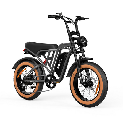 PVY A20 Fat Tire E-Bike