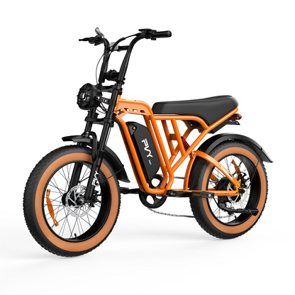 PVY A20 Fat Tire E-Bike