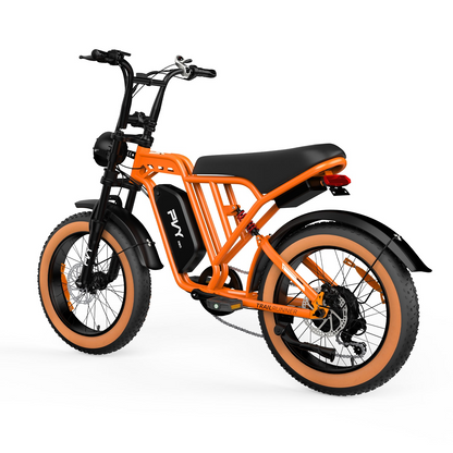 PVY A20 Fat Tire E-Bike