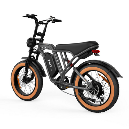 PVY A20 Fat Tire E-Bike