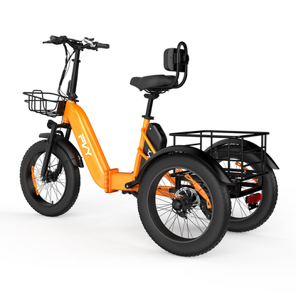 PVY F20 Cargo E-Bike