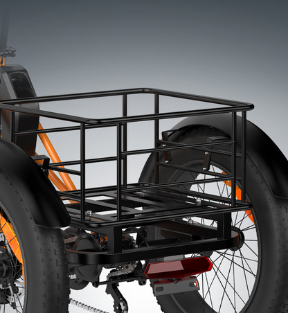 PVY F20 Cargo E-Bike