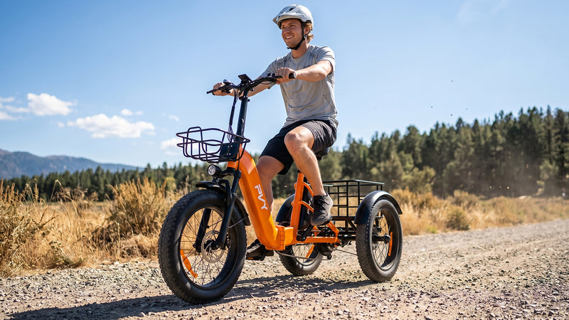 PVY F20 Cargo E-Bike