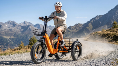 PVY F20 Cargo E-Bike