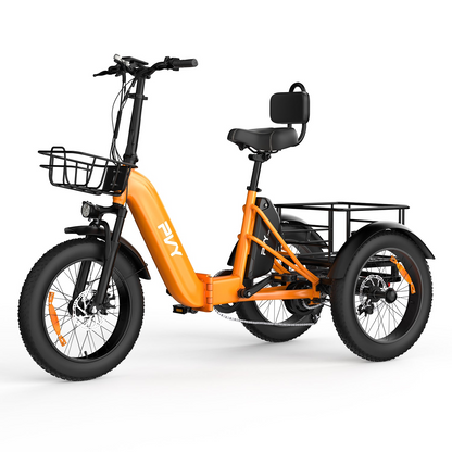 PVY F20 Cargo E-Bike