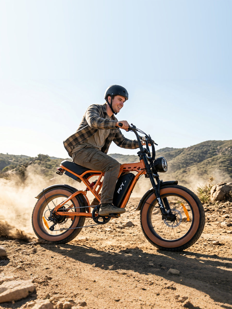 PVY A20 Fat Tire E-Bike