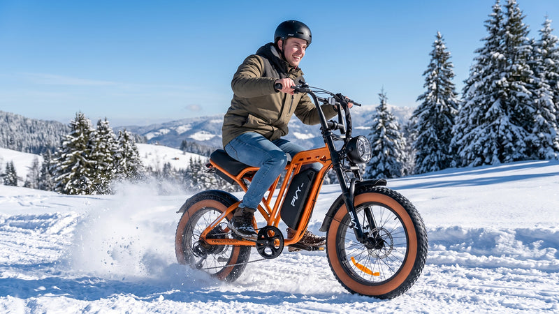 PVY A20 Fat Tire E-Bike