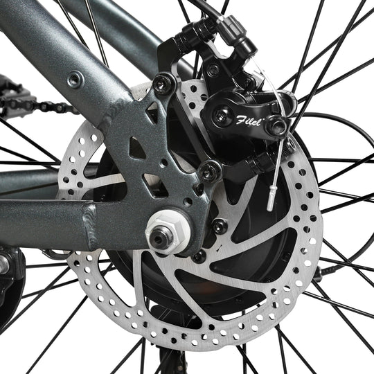 RS-A01 MEN Urban Electric Bicycle