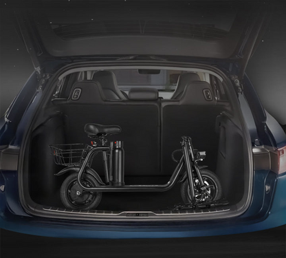 SM-C01 Foldable Electric Scooter with Seat