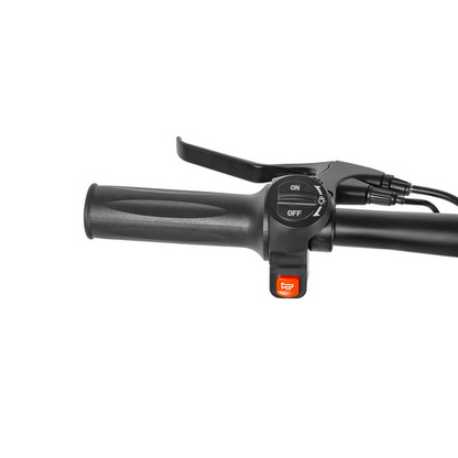 SM-C01 Foldable Electric Scooter with Seat