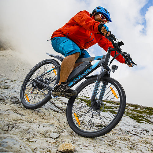 Varun M27-1 Mountain Electric Bike