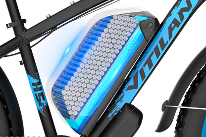 Vitilan H5 Dual Motor Fat Tire Electric Bike