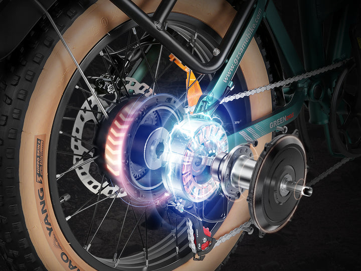 XWLX09-II Fat Tire Mountain Ebike