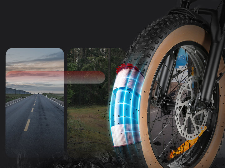 XWLX09-II Fat Tire Mountain Ebike