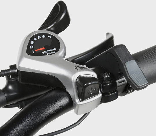 XWLX09-II Fat Tire Mountain Ebike